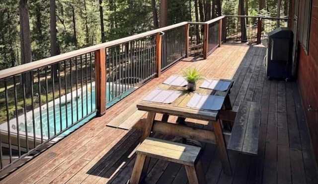 Casa Luna swim spa in the woods