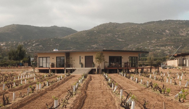 Casa Maul/Valle de Guadalupe/Incredible Home in Private Vineyard