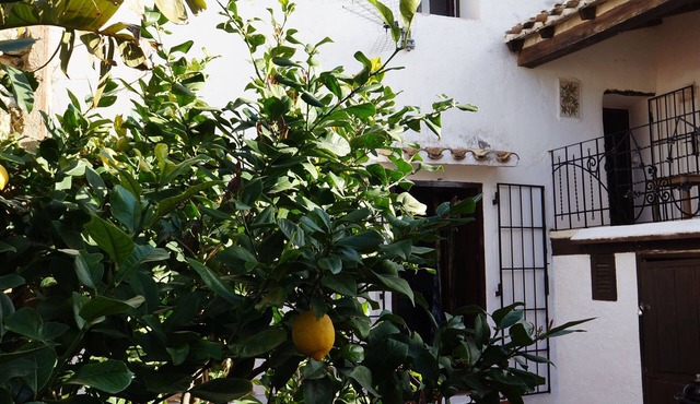Casa Menut is a Family Friendly 150-year-old house in the heart of Lliber