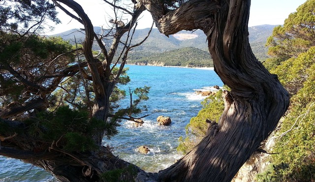 Casa Murina Hôtel Demeure Ecologique