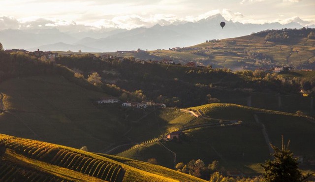 CASA NELLE LANGHE in Serralunga d'Alba