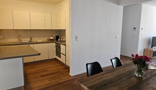 CASA NOSTRA Lugano - Suite 1