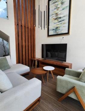 Casa Olivo, Sala a doble altura