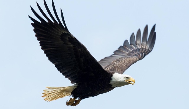 Casa on the Red Cedar River