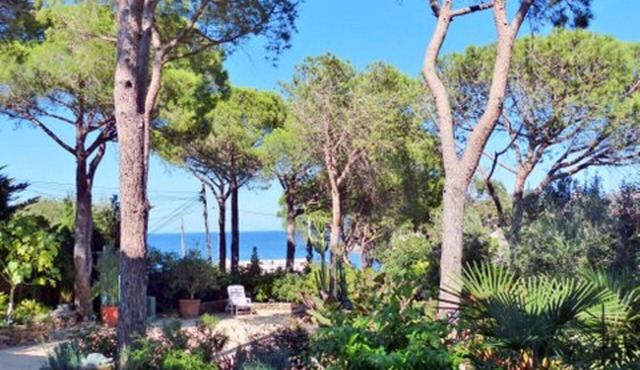 Casa PICCOLINA Ground floor apartment by the sea in Cap de C park