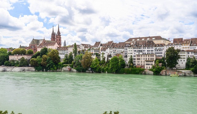 Casa Rheinblick - Apartment D - 3BR Penthouse with Rooftop Terrace