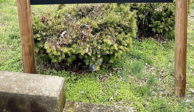 Casa Rio Family Friendly Spring River Front Home!