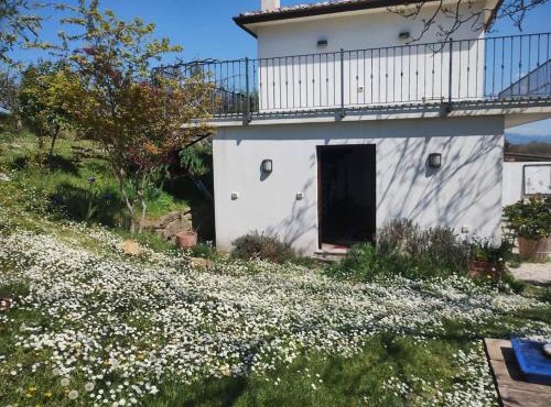 Casa Rosa Istria