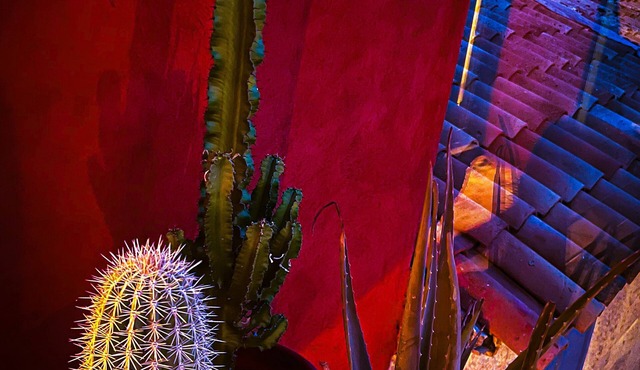 CASA ROSSA! Gite for 4 with Nordic Spa 10 minutes from the Circuit du Castellet!