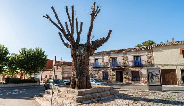 Casa Rural Álamo Grande