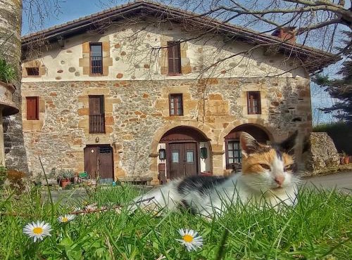 Casa Rural Areano