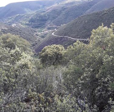 Casa Rural Costanilla