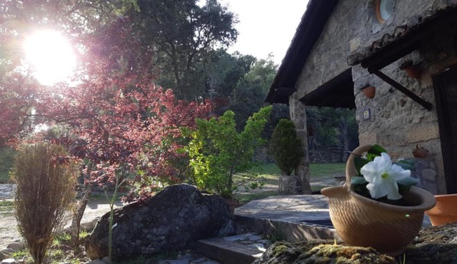 Casa rural La Borriquita