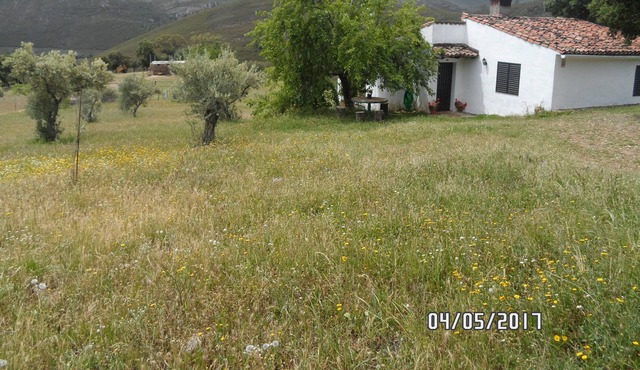 Casa Rural La Jara con vistas a la montaña