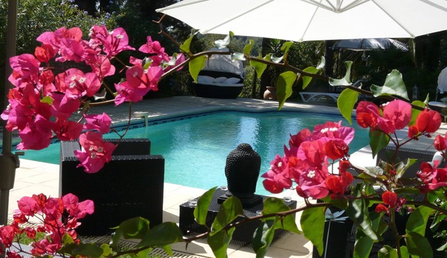 Casa U Barraconu Dans un Domaine de 25000m2 qui est un Havre de Paix Entre mer (