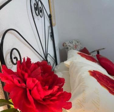 Casa Veva Tradición- Siles-