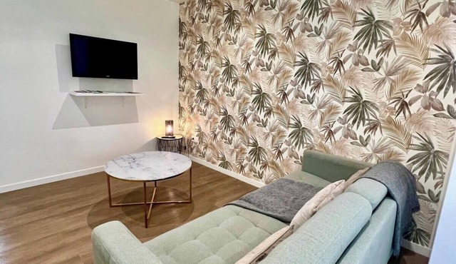 Casa Viasud #3 - T2 design&climatisé -Centre Brive