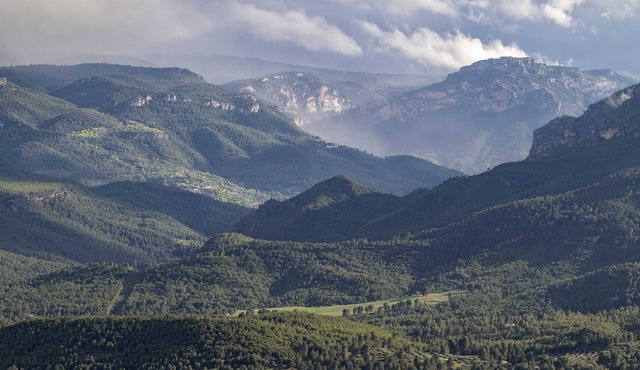 Casas de Madera en las Montañas con Piscina y Barbacoa, en la Sierra del Segura