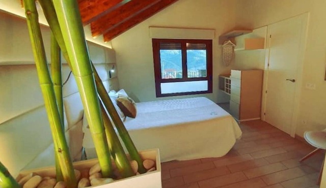 Casas Ordesa - Pineta Suite Apartment