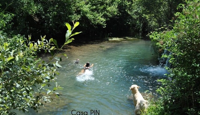Casas Pin for 12 people