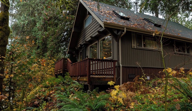 Cascade River Cabin + Hot Tub, Firepit