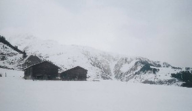Cascharolas Bellingreri, (Rueras/Sedrun). by Interhome