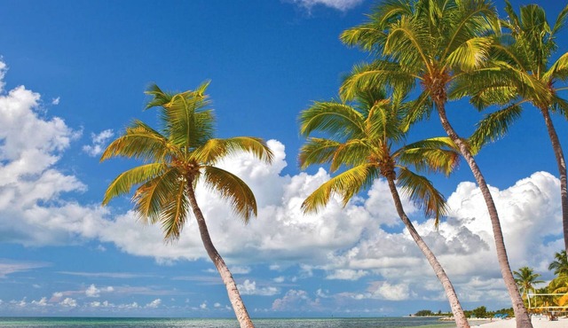 Casita de Catherine by Avantstay 1 Block to Duval St w/Hot Tub!