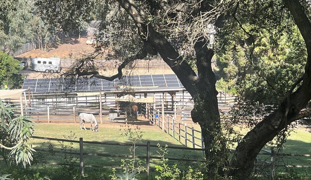 Casita in beautiful Elfin Forest, hiking trails, 20 min to Beach
