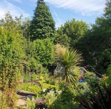 Casita in the garden