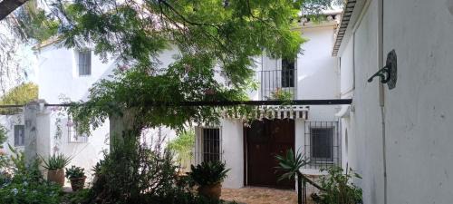 Casita Molivent