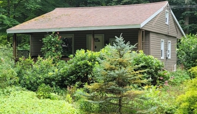 Cassadaga cottage in the woods