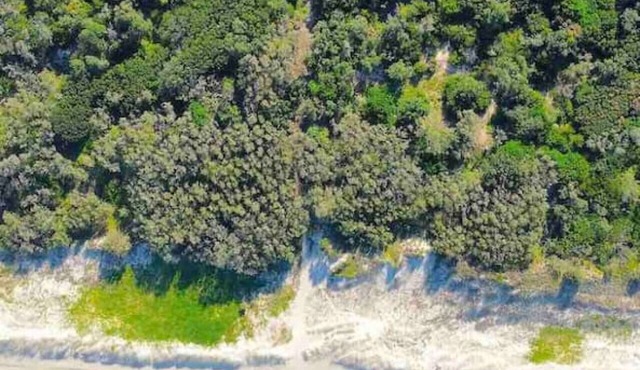 Castaways Beach house Noosa.Beachfront,pool,tennis