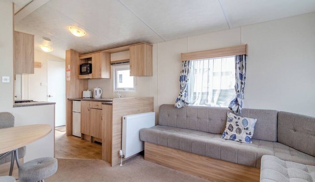 Castaways Oyster 6 (Pet)