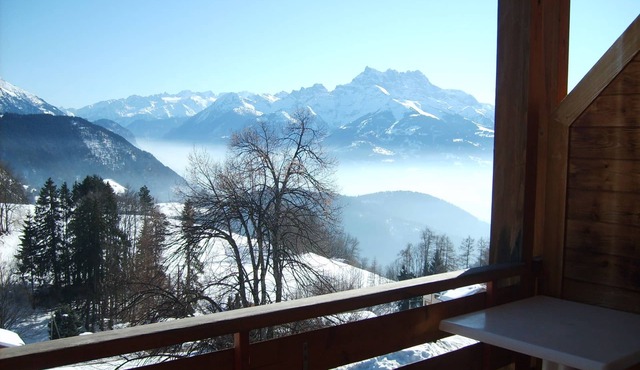 Castel Club Leysin Parc Resort