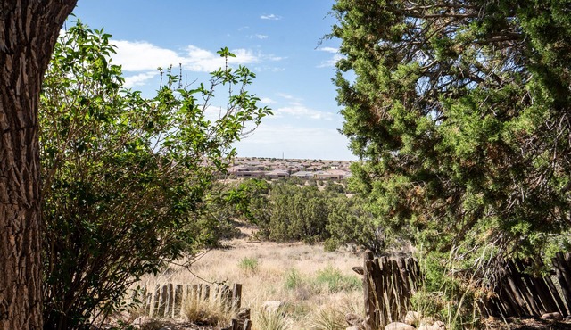 Caster's Retreat | Historic Abode Sitting on 5 Acres of Land!