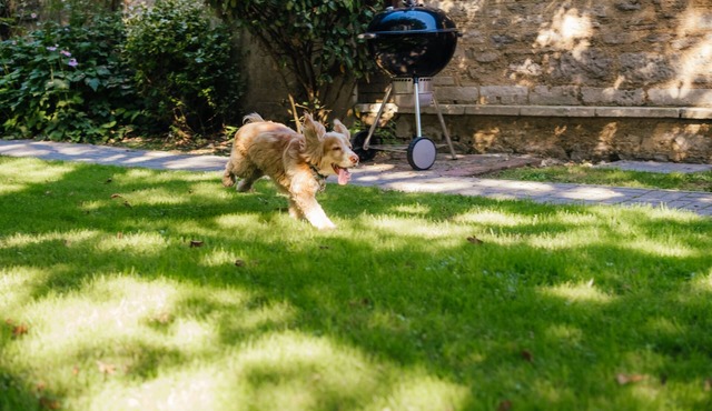 Casterbridge - Enchanting 3 bed Countryside Cottage with Hot Tub