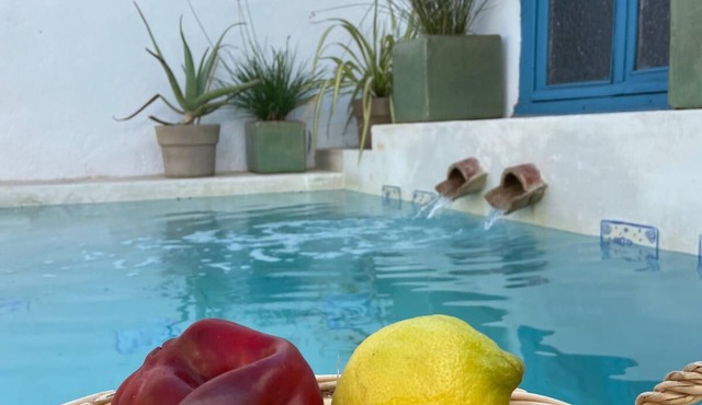Castilian Patio | Swimming pool Barbecue