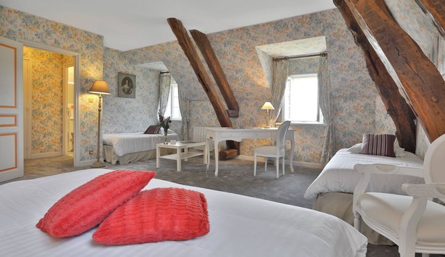 Castle at 800m of Lascaux's Cave - Dordogne - Sarlat - Périgord noir