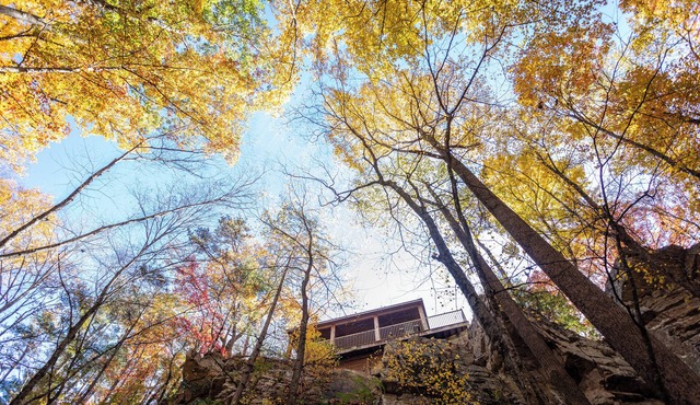 Castle Cliff Riverfront Cottage Peaceful Private Less than15 min to Harrisonburg