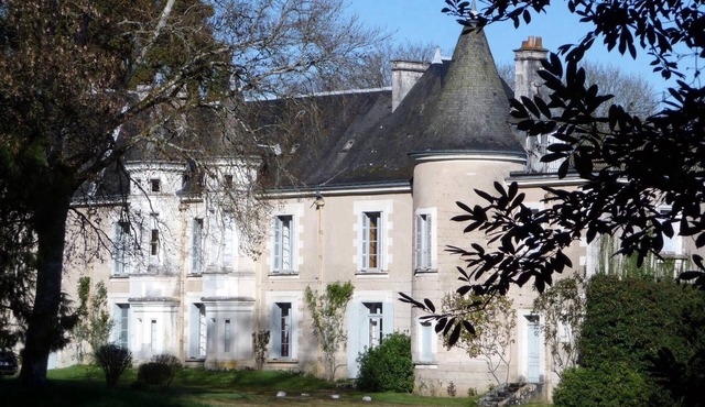 Castle close family Loire castles, 18 people, swimming pool/tennis
