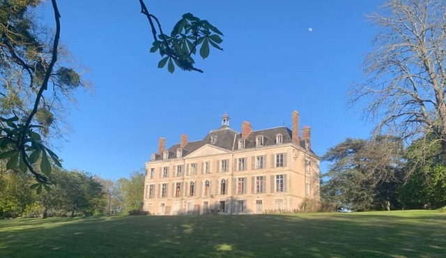 Castle for 2-20 guests at the Loire with pool & Parc