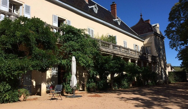 Castle- Apartment 8 people in the heart of Beaujolais