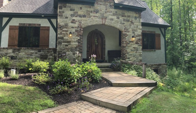 Castle in the Forest