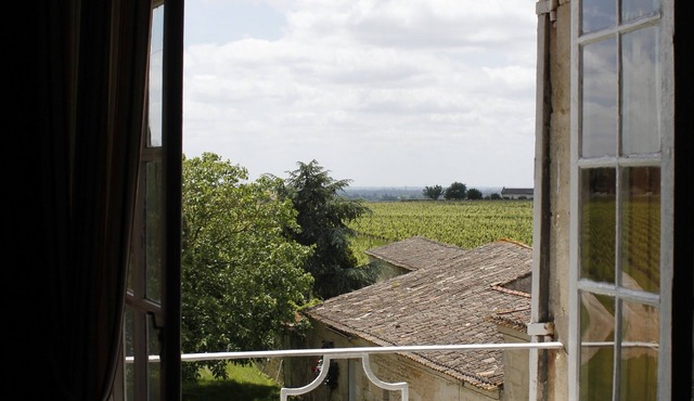 Castle life in the middle of the vineyards Swedish room