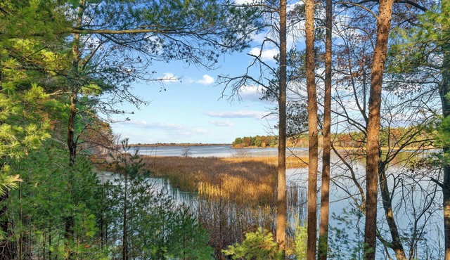 Castle Rock Lake-Games-Bar-Fireplaces & Fire Pits