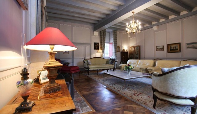 Castle: Royan (30 min), luxury, calm and pleasure, France Castle