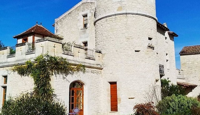 Castle with 4 bedrooms and WiFi, AC in welcoming Juillac next to Saint Emilion