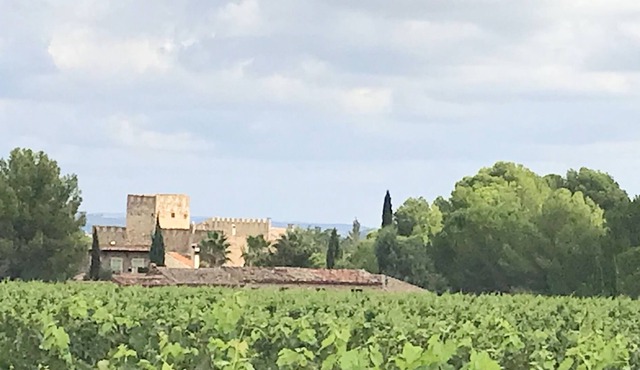 Castle with swimming pool for 14 people near Béziers