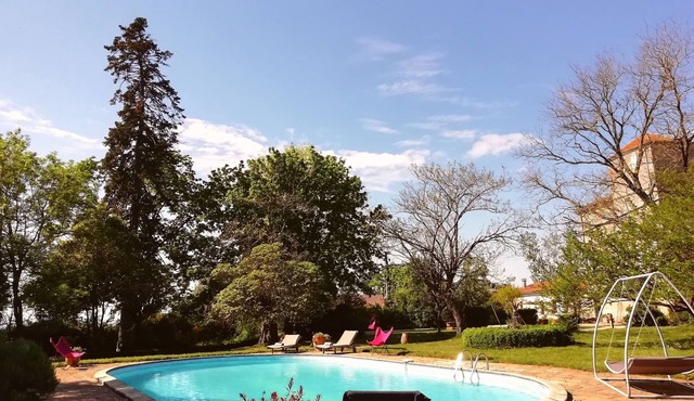 Castle with pool very calm near Albi