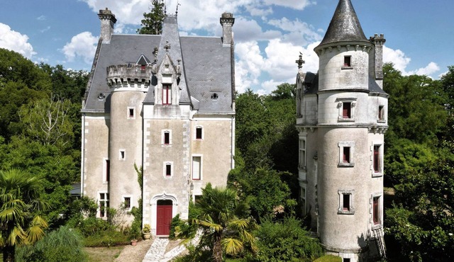 castle XIV century, tower XIX century separated, renovated, swimming pool, park